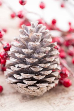 Kırmızı böğürtlenli Noel konisi.