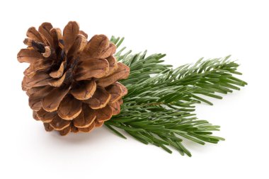 Kırmızı böğürtlenli Noel konisi.