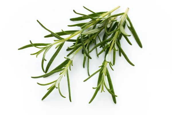 Rosemary Isolated White Background Top View — Stock Photo, Image