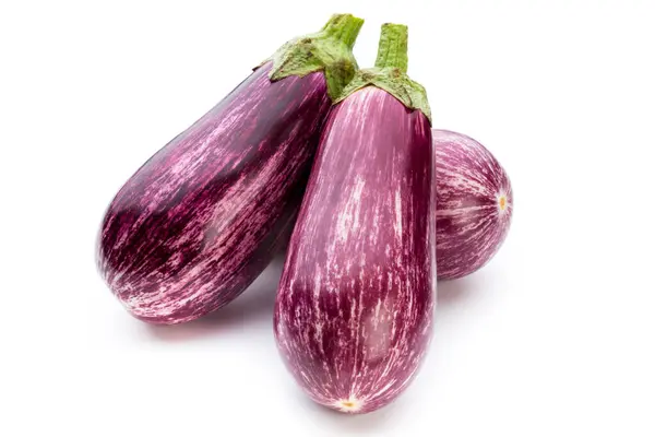 Frische Aubergine Auf Weißem Hintergrund — Stockfoto