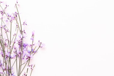 Çiçek kompozisyonu. Pembe arka planda pembe çiçekler. Paskalya, bahar konsepti. Tebrik kartı, düz konum, üst görünüm. 