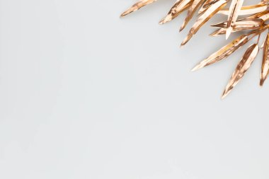  Mavi arka planda altın palmiye yaprağı. Palmiye yaprağı, düz ve üst görünüm.