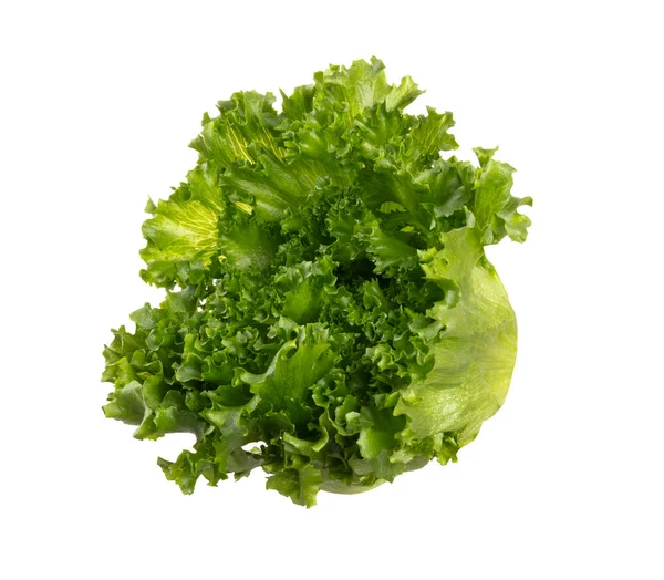 Salatblatt Bio Salat Isoliert Auf Weißem Hintergrund — Stockfoto
