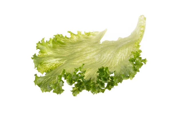 Saladeblad Bio Sla Geïsoleerd Witte Achtergrond — Stockfoto