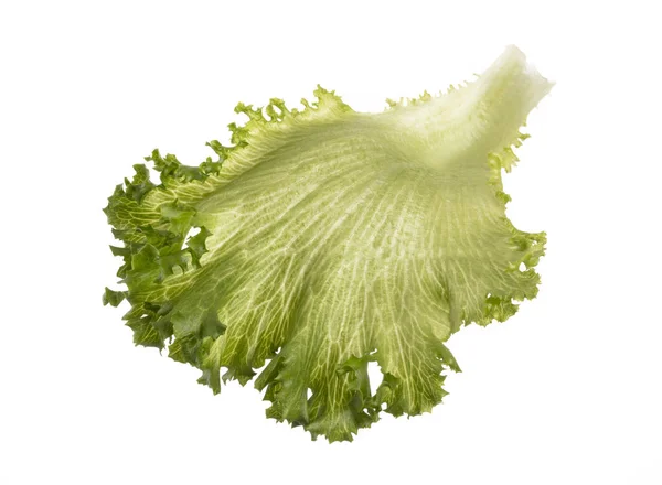 Salátalevél Bio Saláta Izolált Fehér Alapon — Stock Fotó