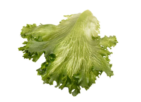 Salladsblad Bio Sallad Isolerad Vit Bakgrund — Stockfoto