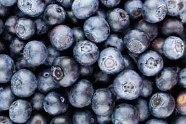 Metnin için fotokopi alanı olan taze yabanmersini arkaplanı. Sınır tasarımı. Vejetaryen ve vejetaryen kavramı. Yaban mersinli makarnanın dokusu. Yaz sağlıklı yemekleri. Pankart.