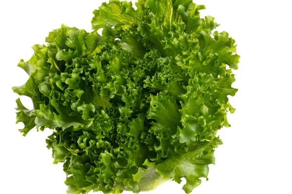 Salátalevél Bio Saláta Izolált Fehér Alapon — Stock Fotó