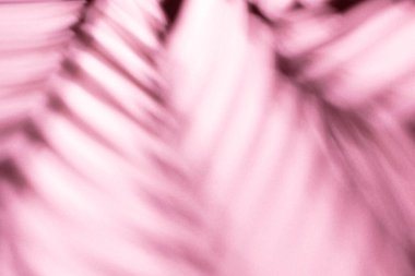 Duvarın arka planında palmiye yaprakları ve gölgeler.