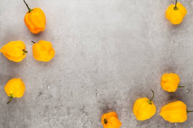 Pastel arka planı olan kırmızı biber deseni, kalıp arka plan tasarımı.