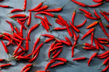 Pastel arka planı olan kırmızı biber deseni, kalıp arka plan tasarımı.