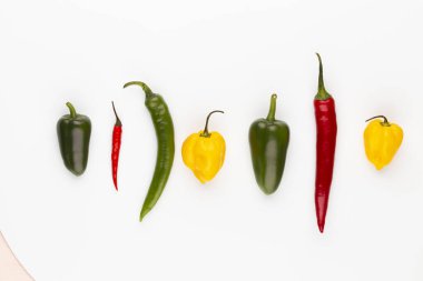 Pastel arka planı olan kırmızı biber deseni, kalıp arka plan tasarımı.