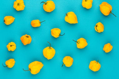 Pastel arka planı olan kırmızı biber deseni, kalıp arka plan tasarımı.