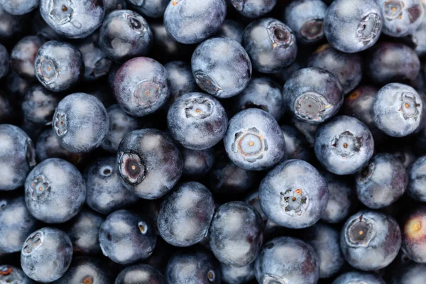 Frische Blaubeeren Hintergrund Mit Kopierraum Für Ihren Text Grenzdesign Veganes — Stockfoto