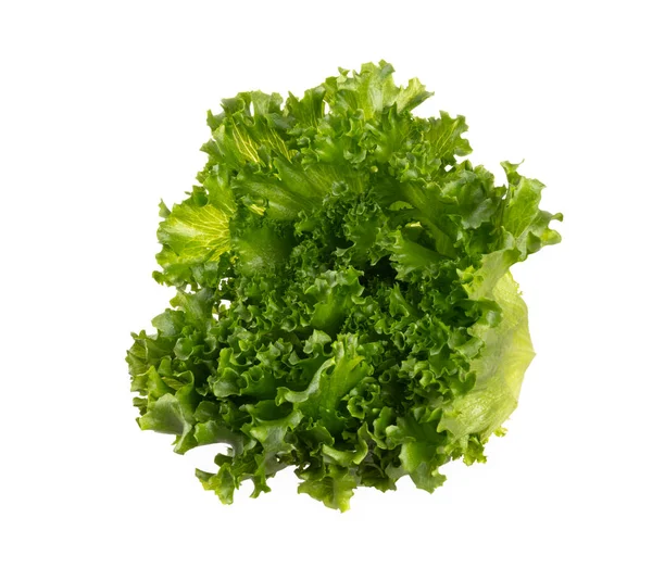 Saladeblad Bio Sla Geïsoleerd Witte Achtergrond — Stockfoto