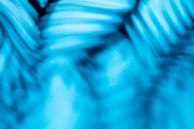 Duvarın arka planında palmiye yaprakları ve gölgeler.