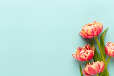 Bahar çiçekleri. Pastel renklerde laleler. Tebrik kartı Retro Vintage tarzı. Anneler günü, Paskalya tebrik kartı..