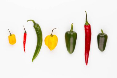 Pastel arka planı olan kırmızı biber deseni, kalıp arka plan tasarımı.