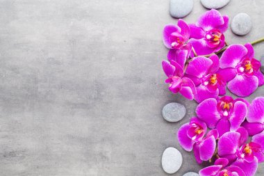 Taş zeminde orkide ve spa taşları. Spa ve Wellnes sahnesi.