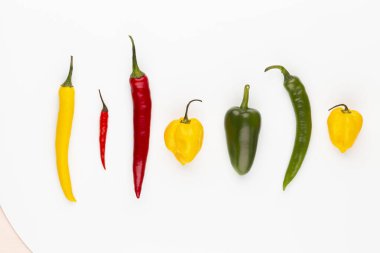 Pastel arka planı olan kırmızı biber deseni, kalıp arka plan tasarımı.