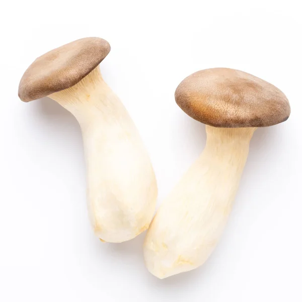 King Oyster Mushroom Eryngii Mushroom White Background — Stock Photo, Image