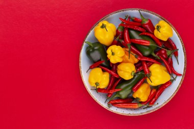 Pastel arka planı olan kırmızı biber deseni, kalıp arka plan tasarımı.