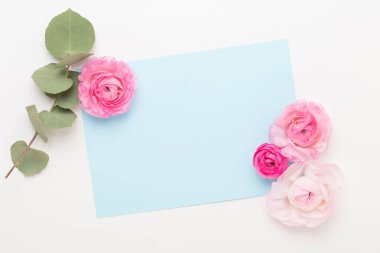 Beyaz arka planda güzel renkli ranunculus çiçekleri. Sevgililer Günü tebrik kartı..