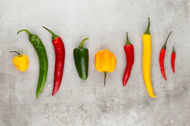 Pastel arka planı olan kırmızı biber deseni, kalıp arka plan tasarımı.