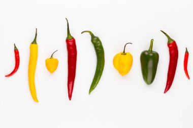 Pastel arka planı olan kırmızı biber deseni, kalıp arka plan tasarımı.