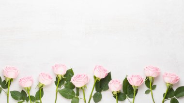 Bahar tebrik kartı, gri arka planda pastel renk gül. Çiçek tebrik kartı. Düz yatıyordu.