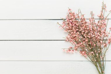 Metin için alanı olan bir spa arkaplanı. Spa tebrik kartı demek. aromaterapi teması, el yapımı kozmetik.