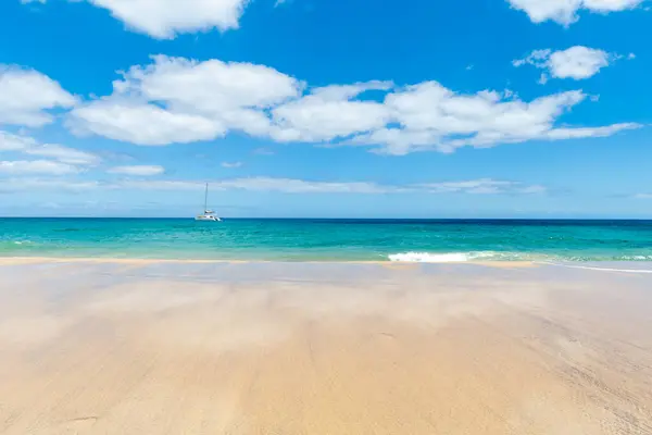 Panorama Pantai Yang Indah Dan Laut Tropis Lanzarote Burung Kenari — Stok Foto