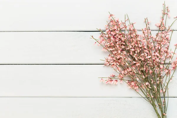 Metin için alanı olan bir spa arkaplanı. Spa tebrik kartı demek. aromaterapi teması, el yapımı kozmetik.