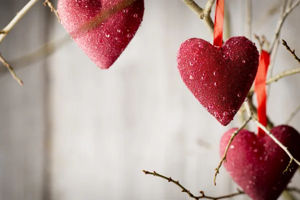 Corazones. —  Fotos de Stock