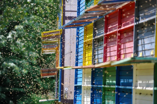 Beekeeping - Beehives — Stock Photo, Image