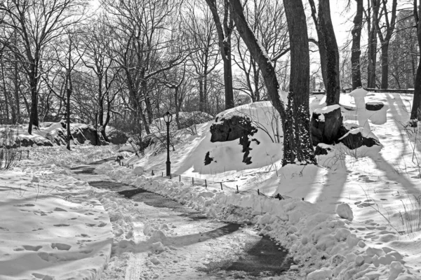 Cenas de inverno em várias áreas do Central Park — Fotografia de Stock