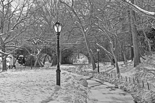 Зимние сцены в различных районах Центрального парка — стоковое фото