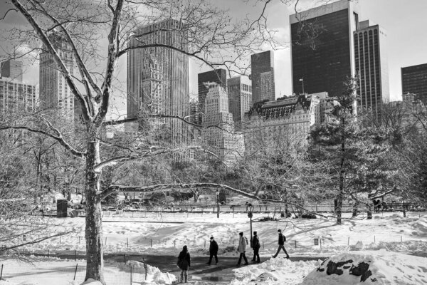 Winter scenes in various areas of Central Park in New York