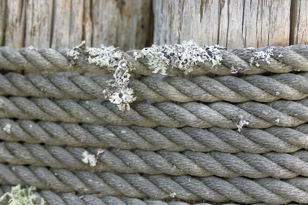 Wooden fencing post standing on a sandy beach with rope — Stock Photo, Image