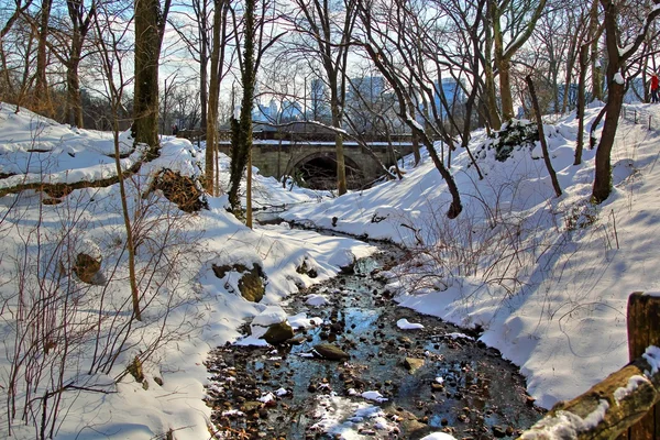Central Park hiver 94 — Photo