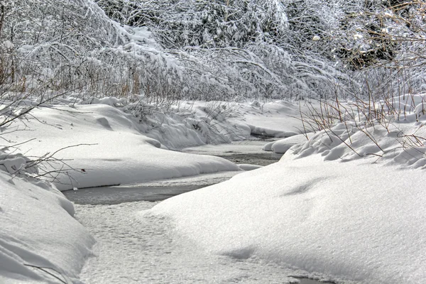 Winter Stream 423 — Stock Photo, Image