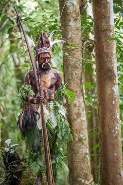  Papua kabilesi Yafi savaşçı 