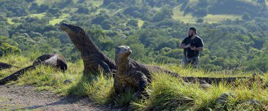 The photographers and Komodo Dragons   clipart