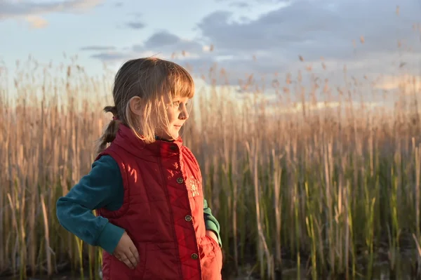 Petite fille sur prairie avec coucher de soleil — Photo