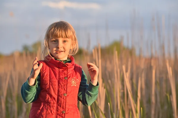 Petite fille sur prairie avec coucher de soleil — Photo