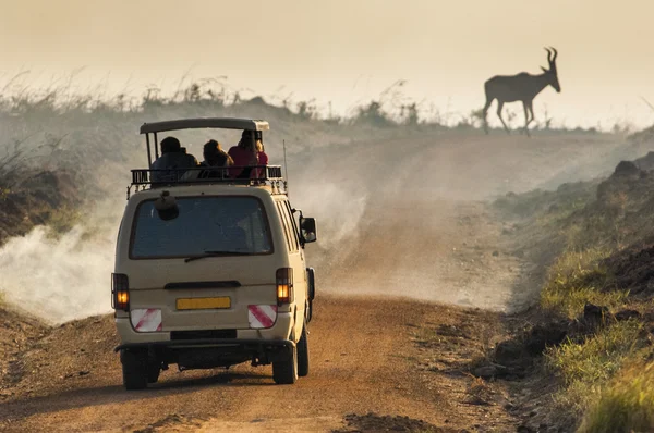 L'antilope Kudu passe par la route — Photo