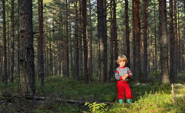 Carino bambina nella foresta estiva — Foto Stock