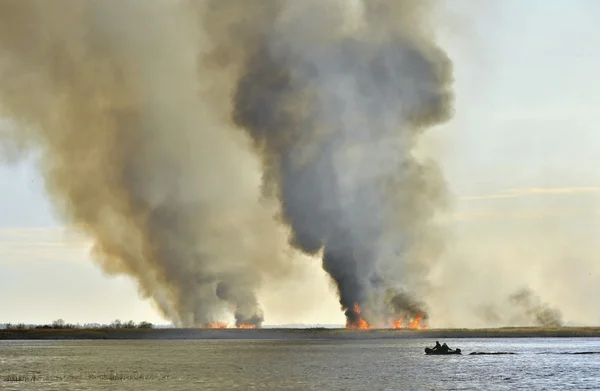 Smoke cloud from the large fire — Stock Photo, Image