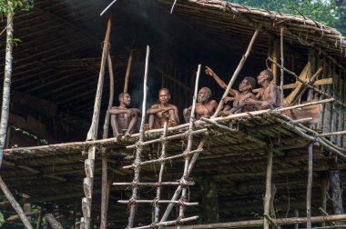 Grup içinde ağaç üzerinde ev Papua Korowai kabilesinin