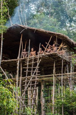 Grup ağaç üzerinde Papua Korowai kabilesinin